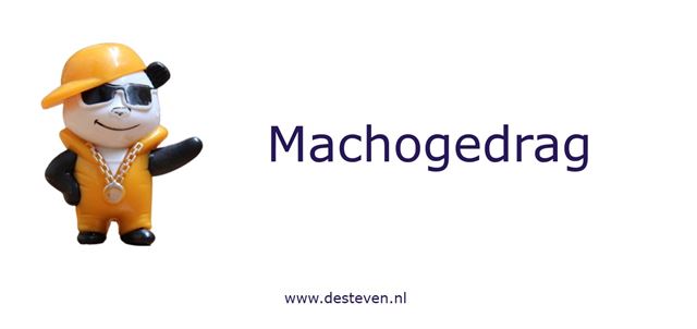 Machogedrag