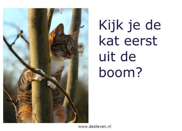 Kat uit de boom kijken