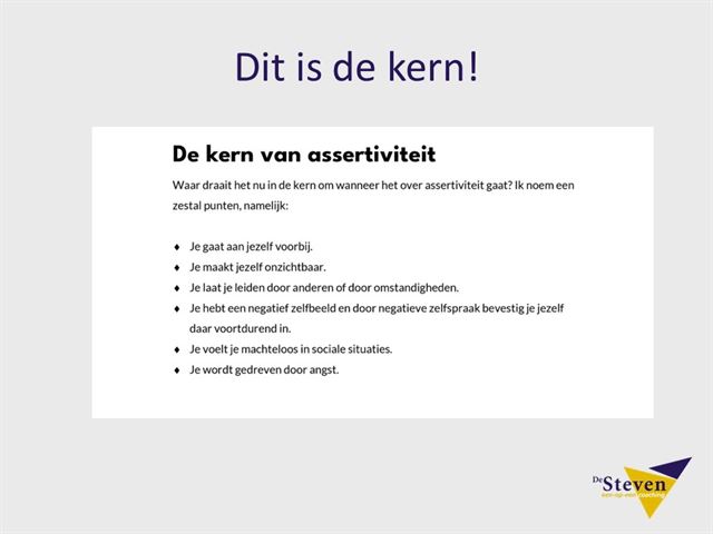 assertiviteit de kern