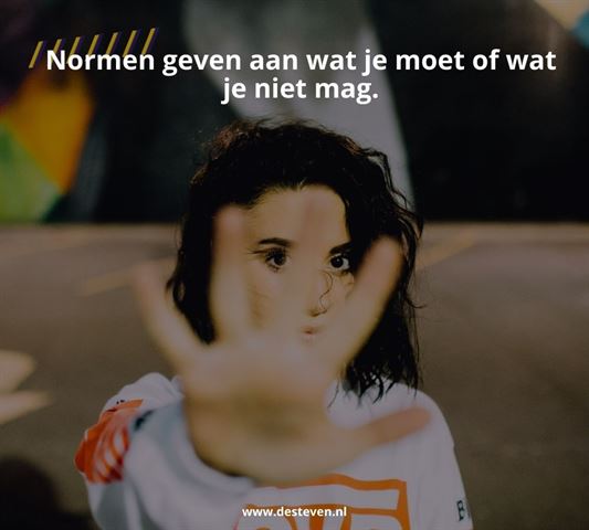 De drijfveer van normen