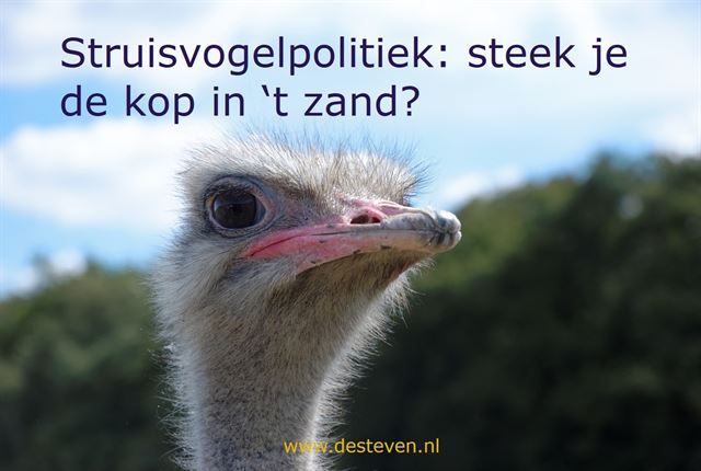 Struisvogelpolitiek