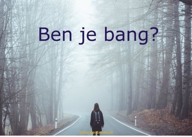 Bang of angstig zijn