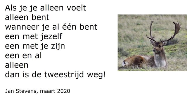 Je alleen voelen