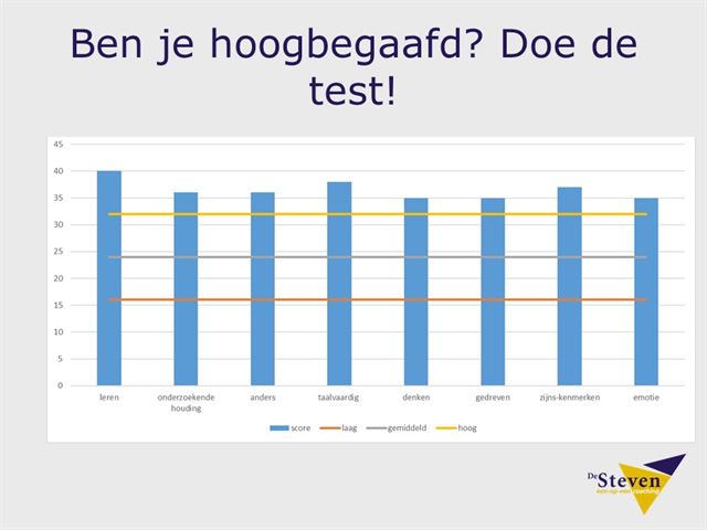 Hoogbegaafdheidstest