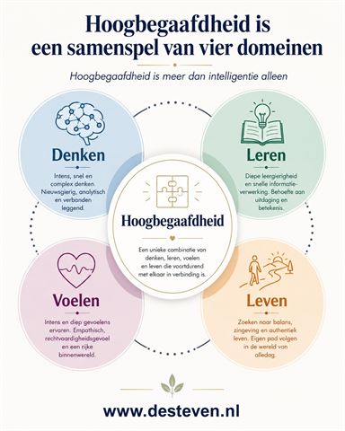 Wat is hoogbegaafdheid?