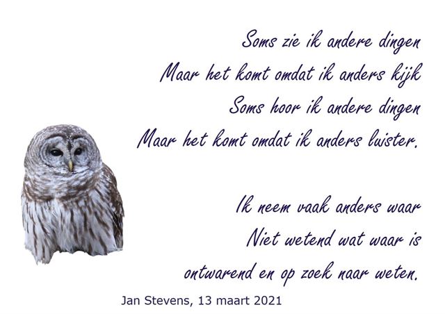 Je anders voelen dan anderen