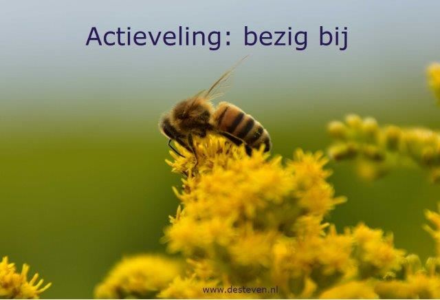 Actieveling of bezige bij