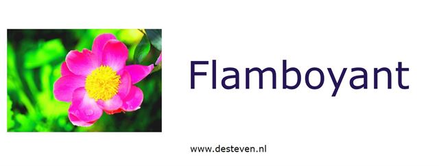 Flamboyant is een eigenschap