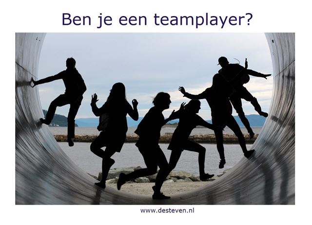 Teamplayer