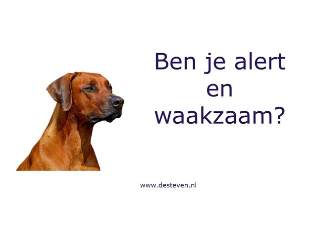 Alert en waakzaam