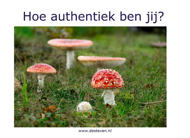 Hoe authentiek ben jij?