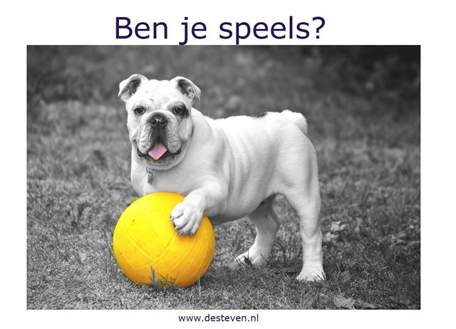 Speels