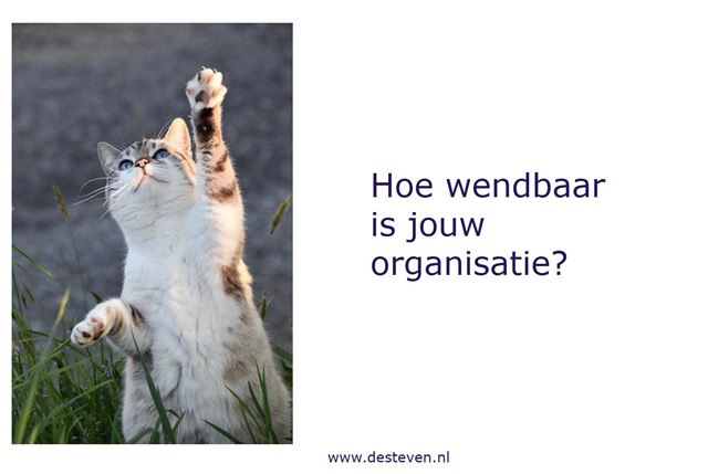 Hoe wendbaar is jouw organisatie?