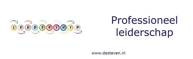Professioneel Leiderschap Training En Coaching