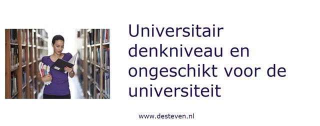 Universitair denkniveau