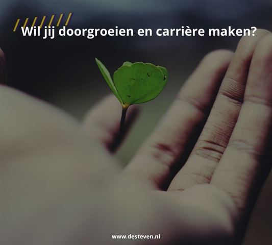 Doorgroeien en carrière maken: is dat jouw droom of wens?