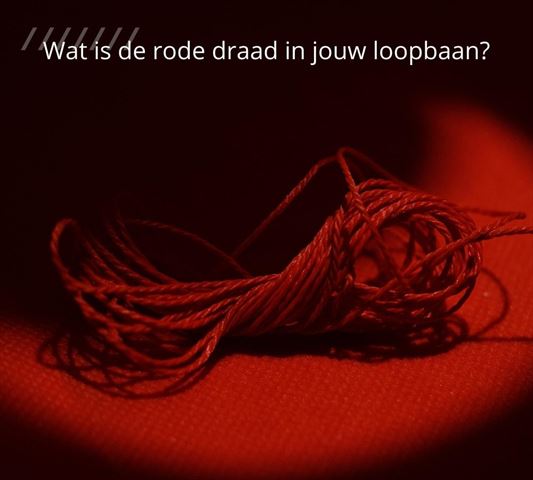 Wat is de rode draad in jouw loopbaan?