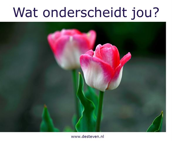 Wat onderscheidt jou als ondernemer?