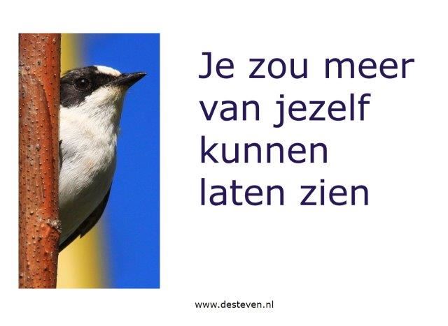 Meer van jezelf laten zien