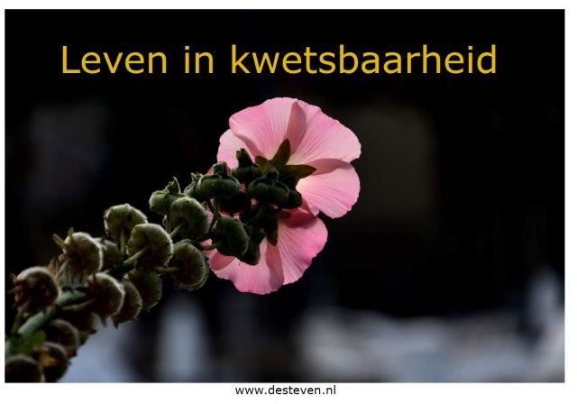 Leven in kwetsbaarheid