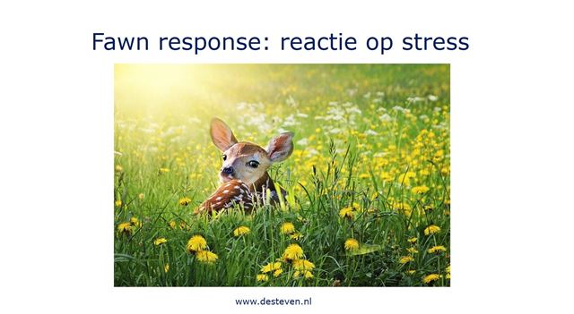 Fawn response