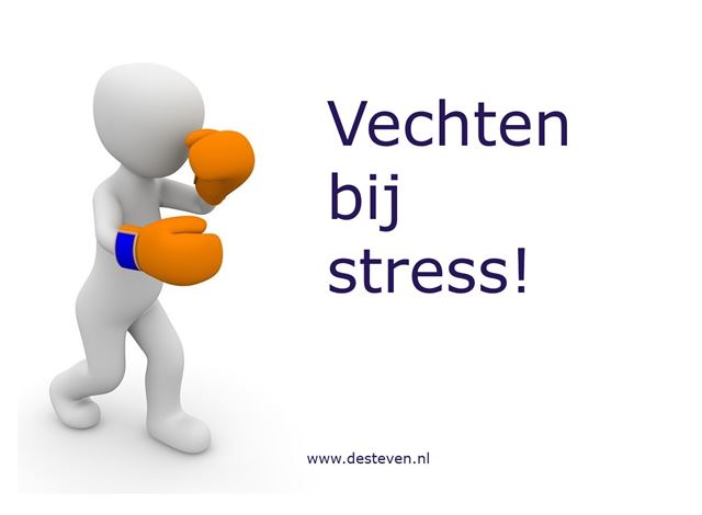 Vechten als reactie op stress