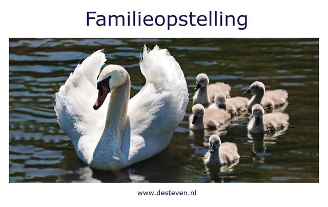 Familieopstelling