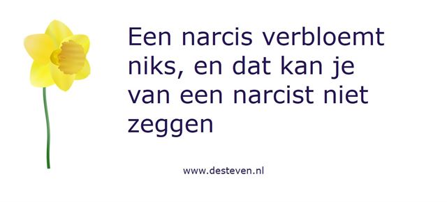 Een narcis verbloemt niks, en dat kan je van een narcist niet zeggen