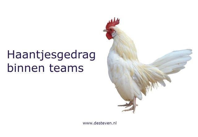 Haantjesgedrag binnen teams