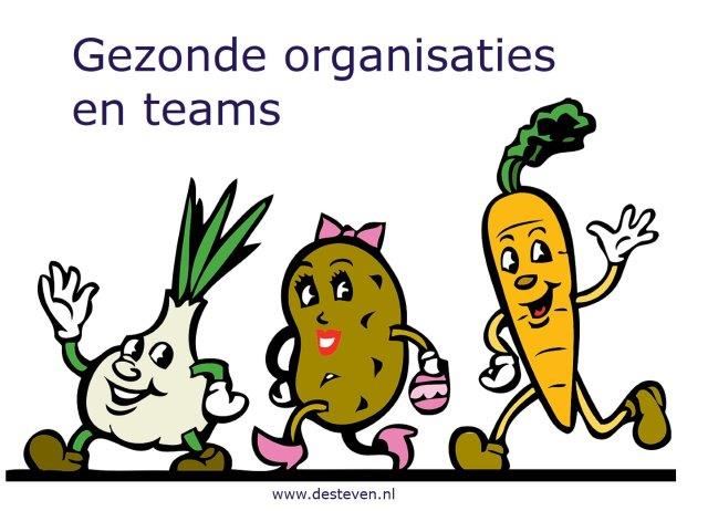 Gezonde organisaties en teams