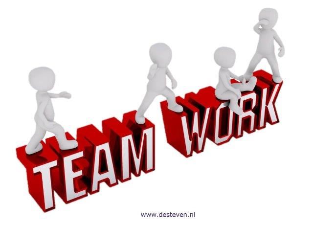 Mensen Die Buiten Als Team Samenwerken Een Geslaagd Project Vieren We