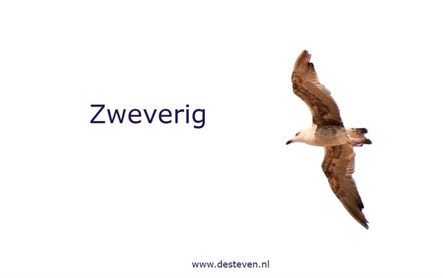 Zweverig