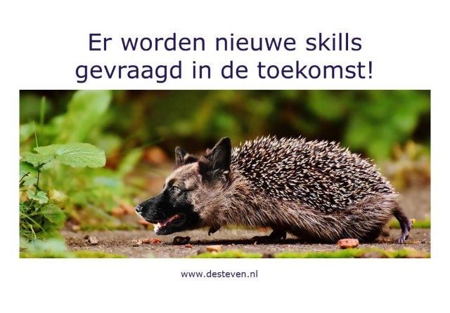 HSP en HB-skills voor de toekomst