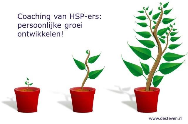 Coaching van HSP-ers en hoogsensitieve personen