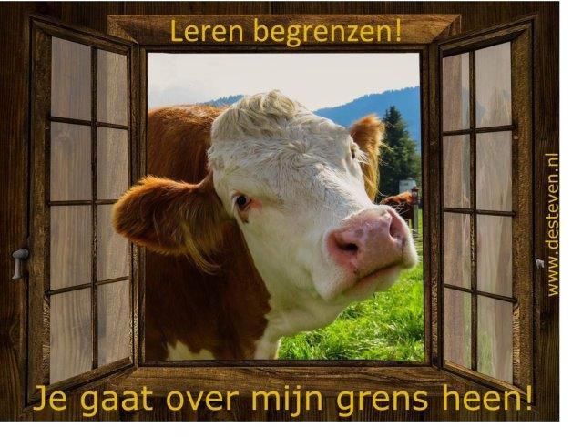 Begrenzen kun je leren