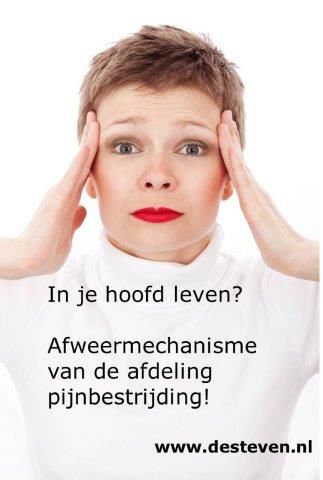 In je hoofd leven