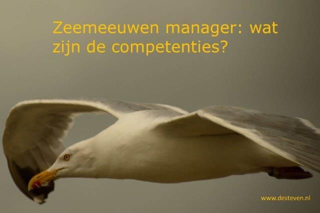 Zeemeeuwen manager of zeemeeuwen-management