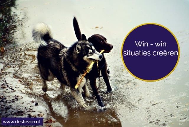 Win win situaties creëren