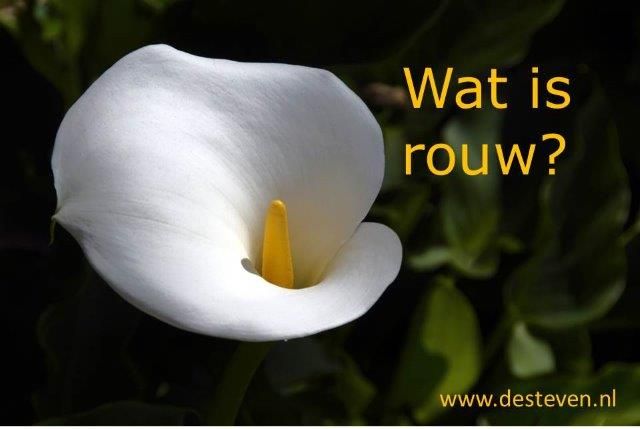 Wat is rouw?