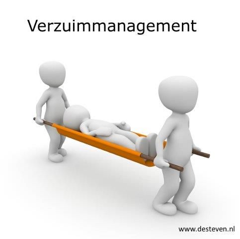 Verzuimmanagement