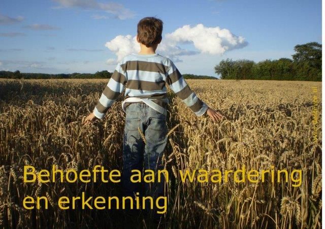 Behoefte aan waardering, erkenning en respect