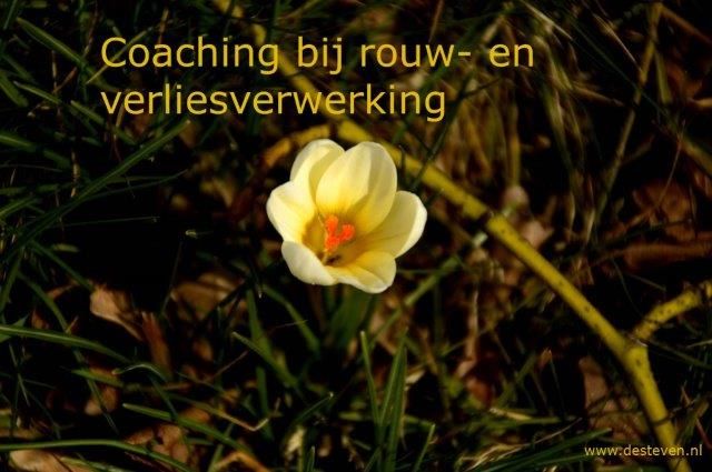 Coaching bij rouw- en verliesverwerking