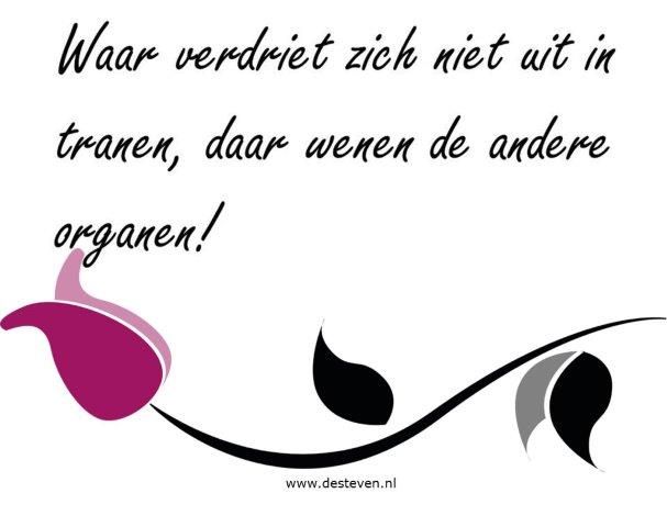 Rouw en verlieservaringen: coaching