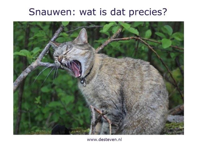 Snauwen, snauwerig