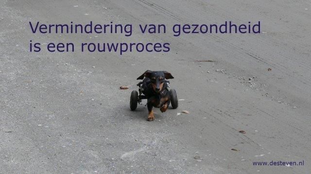 Rouwproces bij vermindering van gezondheid