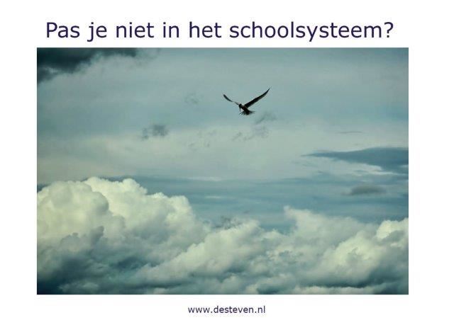 Schoolsysteem: pas je er wel in?