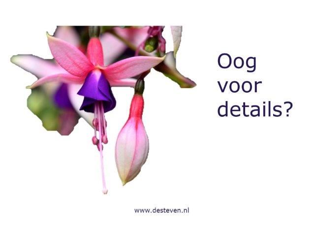 Oog voor details