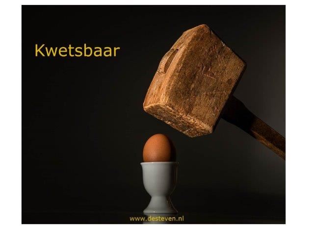 Kwetsbaar