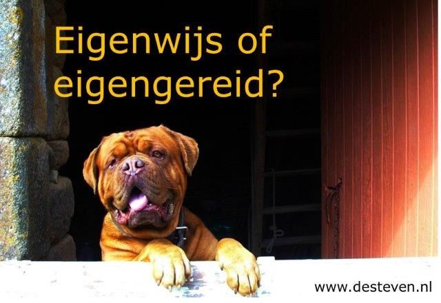 Eigenwijs of eigengereid