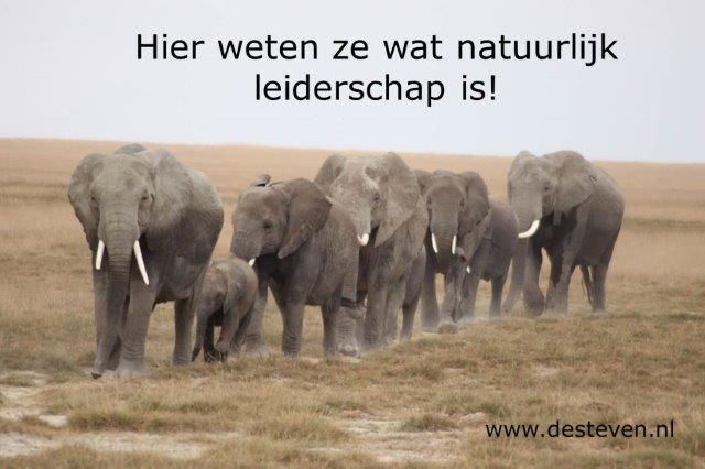 Natuurlijk leiderschap